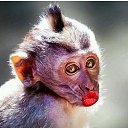 ���� ��������, ����������, 46 ��� - ��������� 16 ������� 2025 � ������ ���� ����������