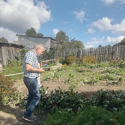, 65 , 