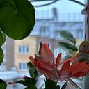 ���� Lidia, ������, 58 ��� - ��������� 13 ������ 2024
