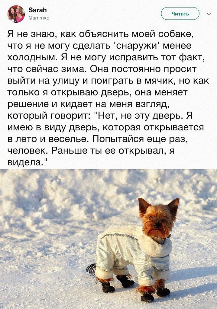    - 10  2025  00:33