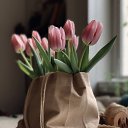 ���� �������, ��������� - ��������� 24 ������ 2026 � ������ ������ ��������