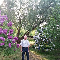 ���� ������, ������, 70 ��� - ��������� 9 ����� 2026