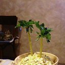 ���� �����, ������, 47 ��� - ��������� 26 ������ 2024 � ������ ���� �����.�