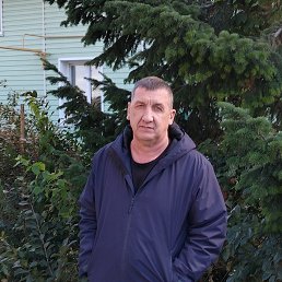 ���� ϸ��, �������, 56 ��� - ��������� 28 �������� 2024