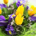 ���� �����, �����-��������� - ��������� 26 ������� 2025 � ������ ������ ��������