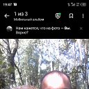 ���� �������, �����, 43 ���� - ��������� 3 ������� 2024 � ������ ���� ����������