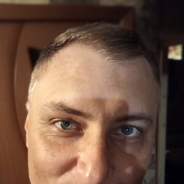 ���� �������, �����, 42 ���� - ��������� 26 ���� 2026