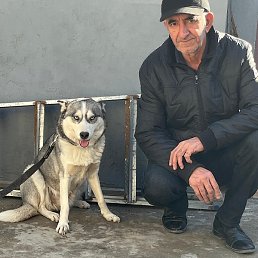 Gunduz, ����, 59 ���