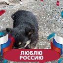 ���� ˸��, ������, 44 ���� - ��������� 11 ��� 2026 � ������ ���� ����������