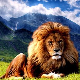 �����, ����, 31 ���