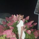 ���� ��������, ��������, 43 ���� - ��������� 21 ������ 2025 � ������ ���� ����������