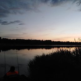 ���������, ������, 53 ����