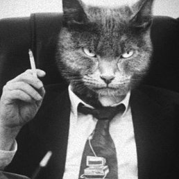 �����, ���������, 24 ����