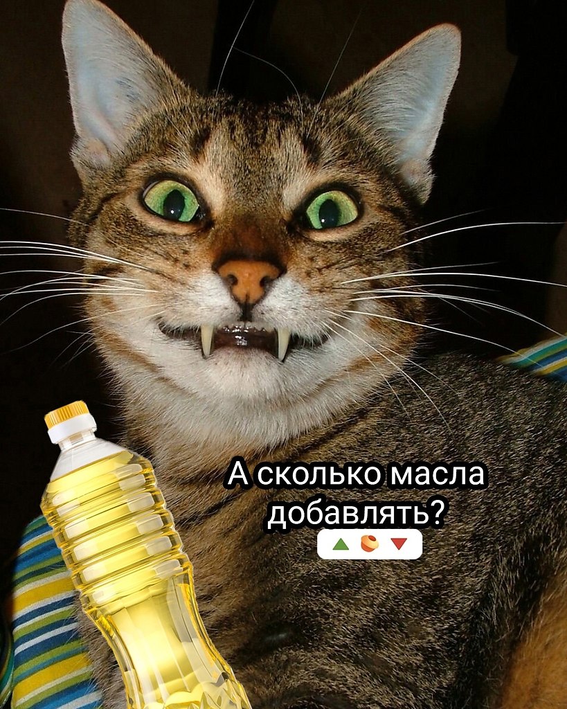 ���� - 27 ���� 2025 � 14:12 - 2