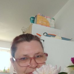 ���� ����, ������, 55 ��� - ��������� 2 ������ 2026