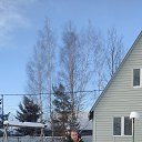 ���� ���������, ������������, 49 ��� - ��������� 11 ������� 2024 � ������ ���� ����������