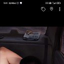 ���� �����, ����, 44 ���� - ��������� 1 ������ 2024 � ������ ���� ����������