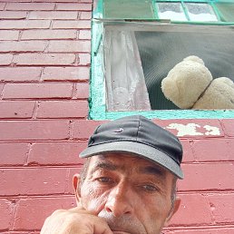 ������, 46 ���, ��������