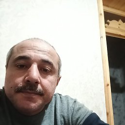 , 44, 