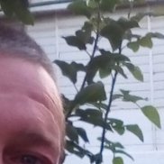 �������, 49 ���, �����