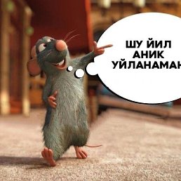 ���� Bek, �����, 38 ��� - ��������� 1 ������ 2024