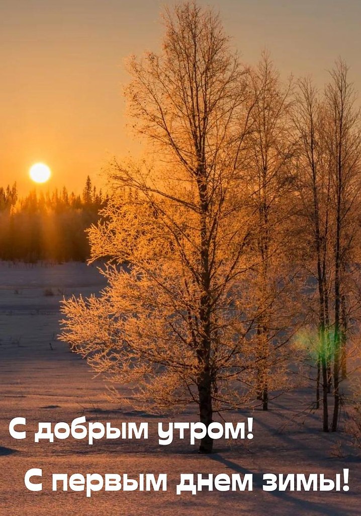   ,    . - 1  2025  01:05