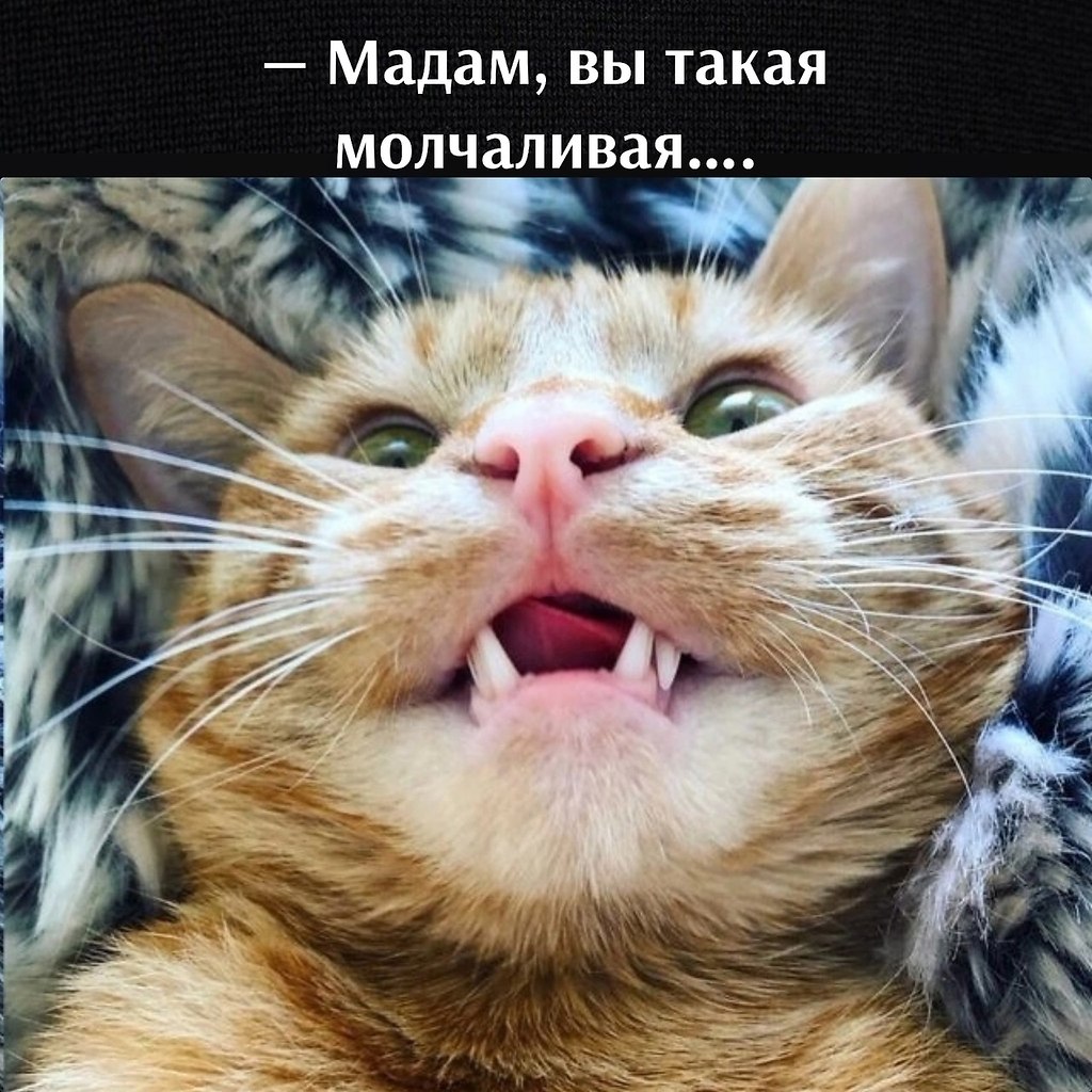 ��� ���� � ����� �� �� - 12 ����� 2025 � 12:48