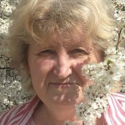 ������, �������, 65 ���