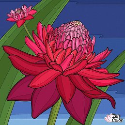 ������, ������, 58 ���