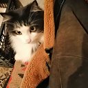 ���� Mihail, ������, 65 ��� - ��������� 25 ������� 2024 � ������ ���� ����������