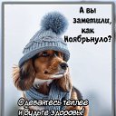 ���� ����, �����������, 52 ���� - ��������� 30 ������ 2023 � ������ ���� ����������