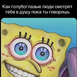 �����, ���������, 23 ����