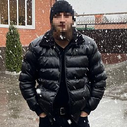 ���� �����, ������, 48 ��� - ��������� 5 ������ 2024