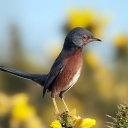 ���� �������, ������, 49 ��� - ��������� 14 ������ 2024 � ������ ���� ����������