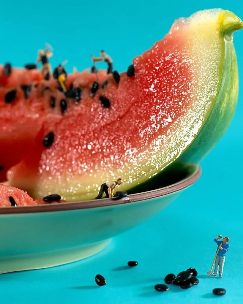 ��������������j�v�lh�t� - 6