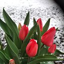 9.04.2025� �� ������� ��������