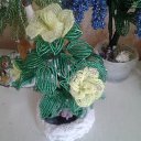 ���� �����, ����������� - ��������� 6 ������ 2026 � ������ ���� ����������