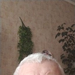 �������, 59 ���, ���������