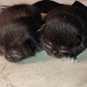 ���� Vladimir, ������, 68 ��� - ��������� 26 ������� 2023 � ������ ���� ������� ������ - ������!�