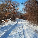 ���� ����, �����������, 74 ���� - ��������� 16 ������ 2024 � ������ ������ ��������