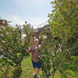 ������, ������, 59 ���