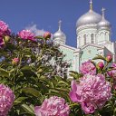 ���� �������, ������ ��������, 38 ��� - ��������� 6 ��� 2025 � ������ ���� ����������