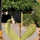 ���� ����������, ������, 47 ��� - ��������� 12 ������� 2025 � ������ ������ ��������