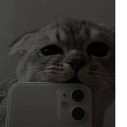 ����, 29 ���, �����-���������