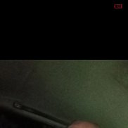 ����, 29 ���, ���������