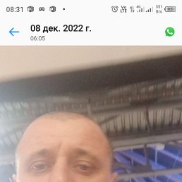 ����, 41 ���, ����