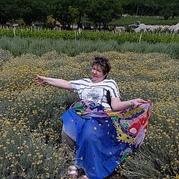 ������, ���������, 58 ���