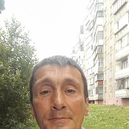 , 53 , 