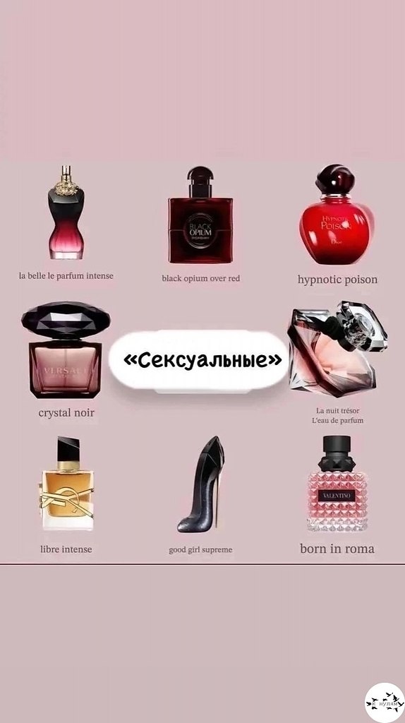 �po�a�� �a ���o� ���c.���� ����� ����� � ������� - 5