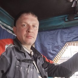 �����, 41 ���, ����������